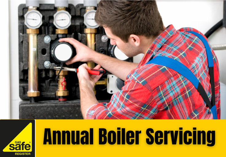 annual boiler servicing Hoo